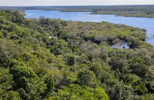 Desmatamento na Amazônia cai 30,6% em um ano (Foto: Fabio Rodrigues-Pozzebom/Agência Brasil)