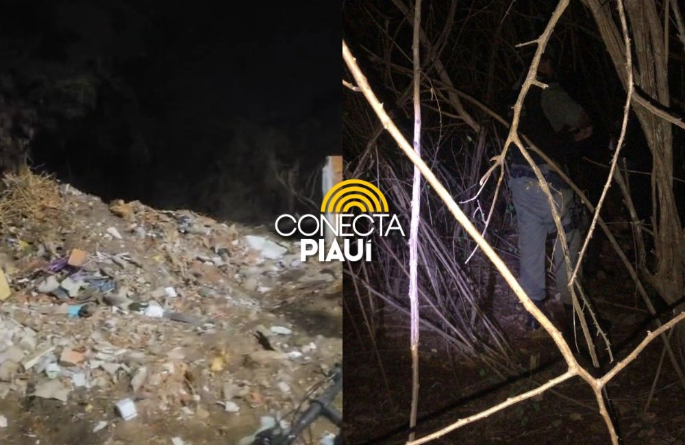 Homem é levado em matagal e é baleado ao fugir de execução em Teresina