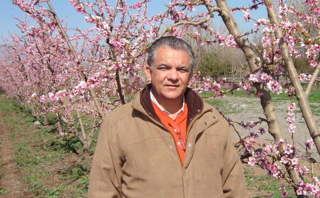 José João Braga