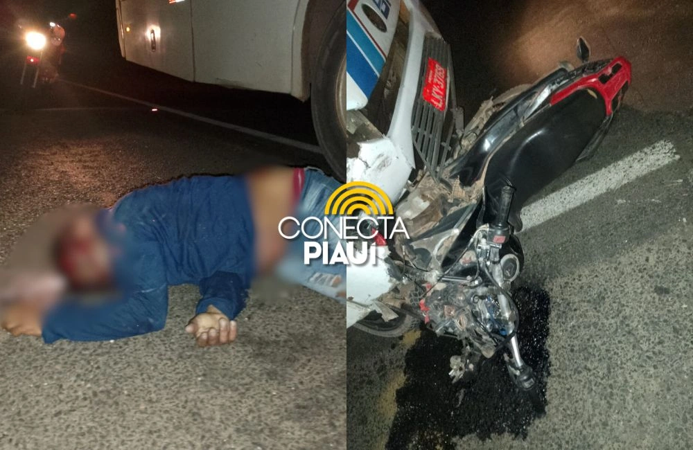 Motociclista morre ao colidir com ônibus na BR-316 em Monsenhor Gil