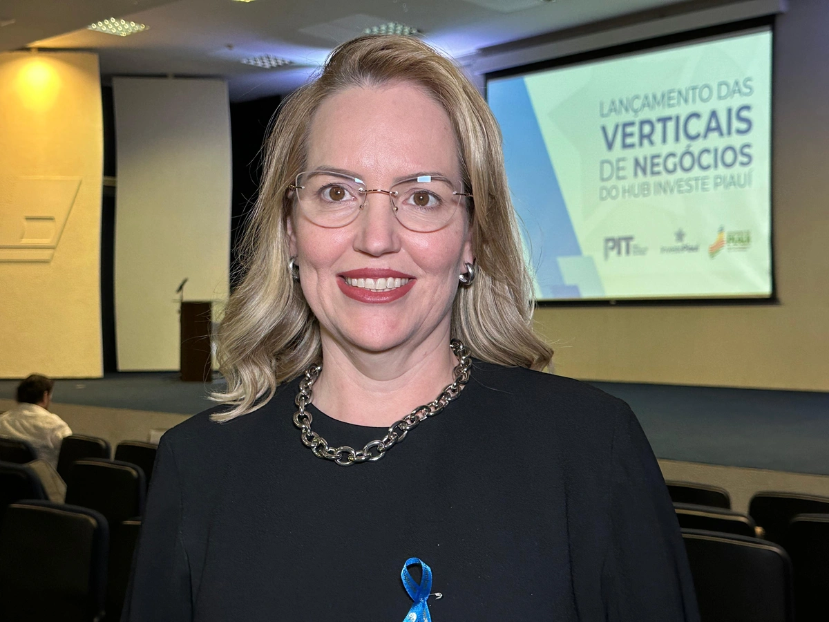 Programa de Verticais de Negócios do Hub Investe Piauí é lançado em Teresina