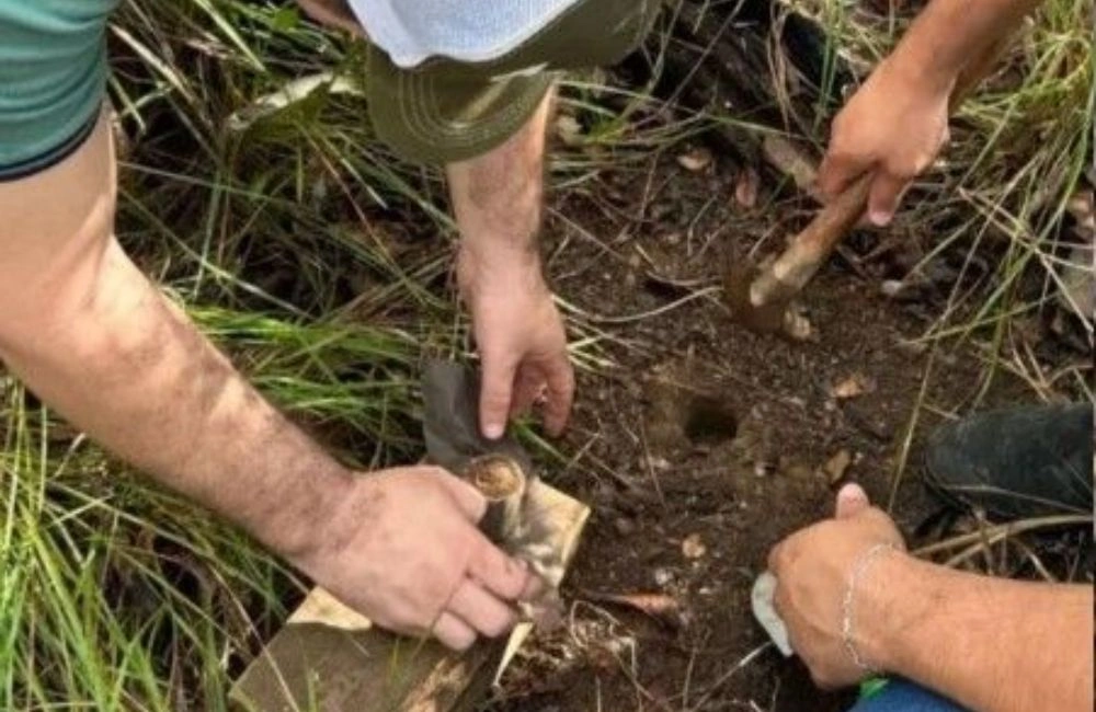 Uespi realiza pesquisa inédita para quantificação de carbono no Cerrado piauiense