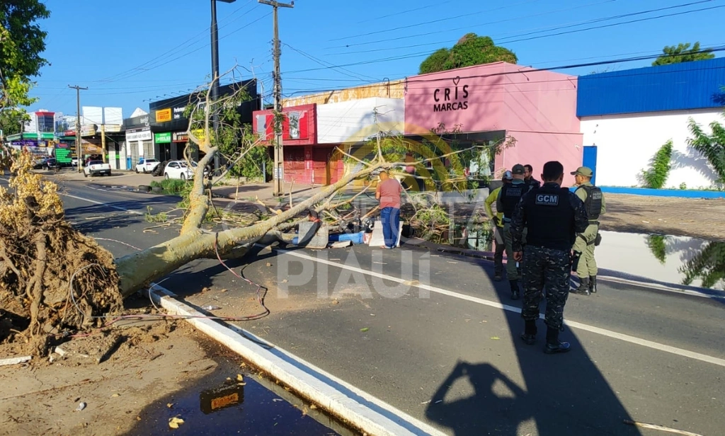 Árvore cai e atinge motociclista por app com passageira na zona Leste de Teresina