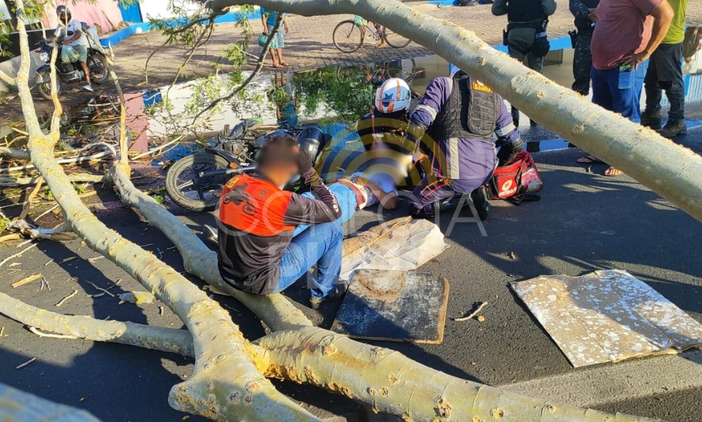Árvore cai e atinge motociclista por app com passageira na zona Leste de Teresina