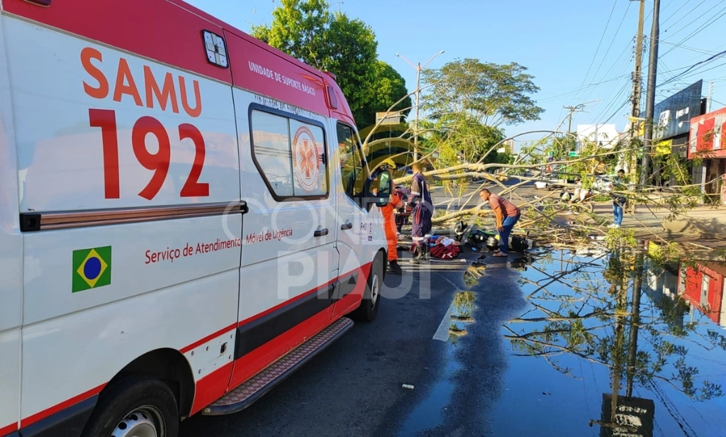 Árvore cai e atinge motociclista por app com passageira na zona Leste de Teresina
