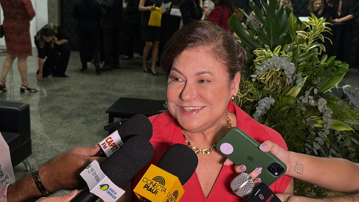Basiliça Alves, Vice-presidente do TRT-22