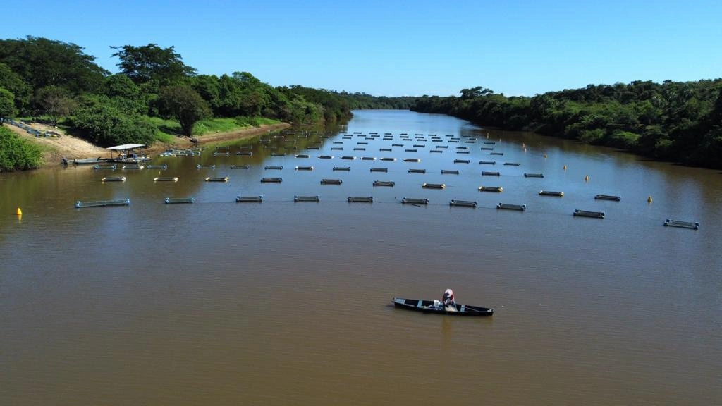 Codevasf investe R$ 2 milhões em equipamentos para fortalecer piscicultura no PI