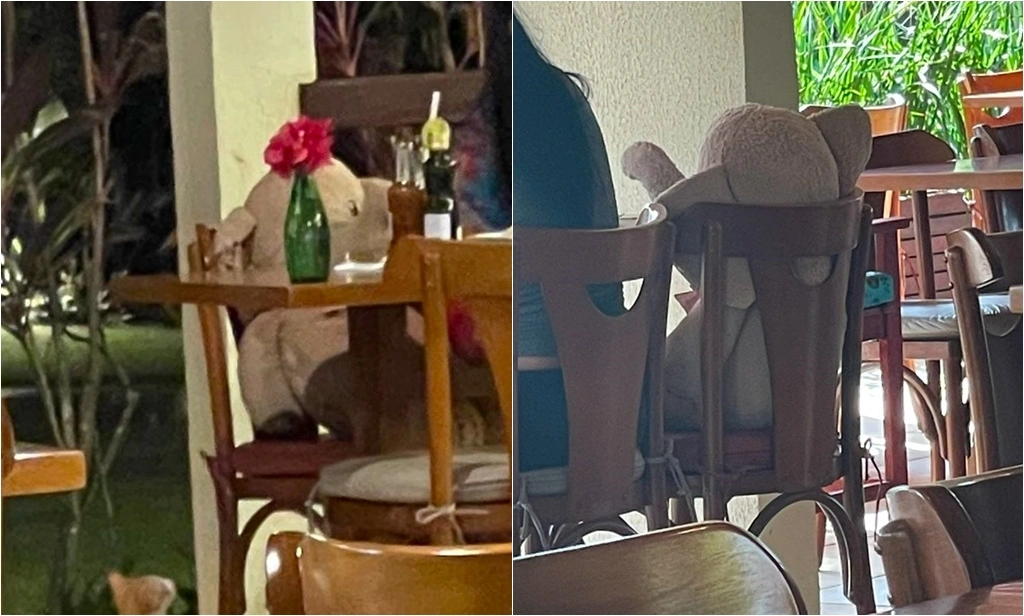Mulher é vista em 'jantar romântico' com elefante de pelúcia em Luís Correia