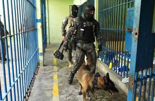 Sejus intensifica vistorias com uso de cães farejadores em presídios de Teresina (Foto: Reprodução)