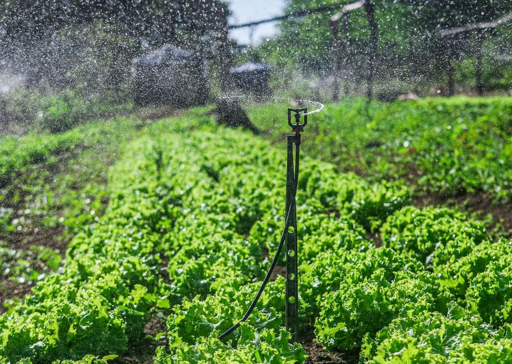 Sistemas de irrigação distribuídos pela SAF beneficiam mais de 2,6 mil famílias