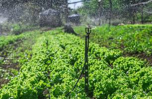 Sistemas de irrigação distribuídos pela SAF beneficiam mais de 2,6 mil famílias (Foto: Reprodução)