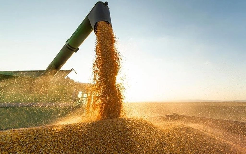 Valor da produção agrícola do Piauí registra crescimento superior a 380%