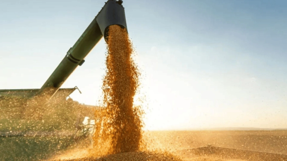 Balança comercial do Piauí tem superávit de R$ 294 milhões em janeiro