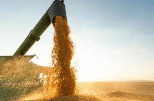 Balança comercial do Piauí tem superávit de R$ 294 milhões em janeiro (Foto: Reprodução)
