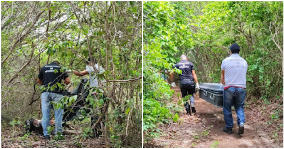 Corpo de homem decapitado e carbonizado é encontrado em Luís Correia