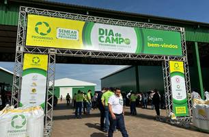 Fazenda Progresso (Foto: Stefanny Sales/Conecta Piauí)