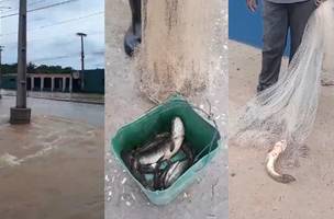 Homem pesca peixes em avenida alagada durante forte chuva em Teresina (Foto: Reprodução)