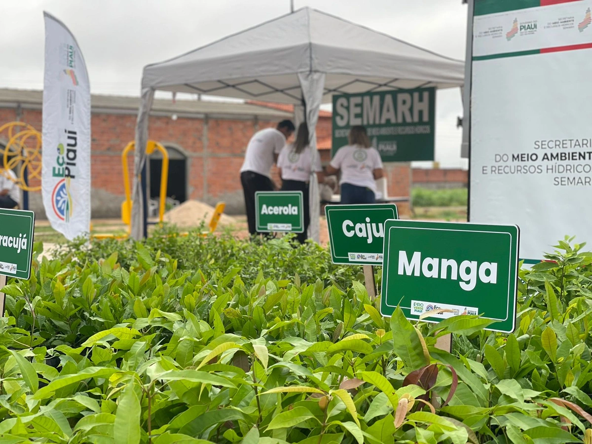 Rafael Fonteles entrega primeira obra do Orçamento Participativo em Teresina