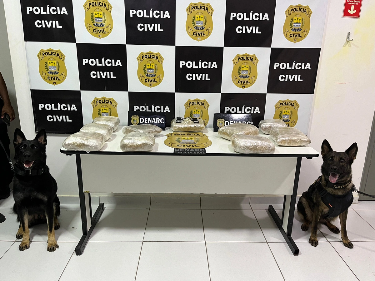 A droga, conhecida popularmente como supermaconha, foi apreendida.