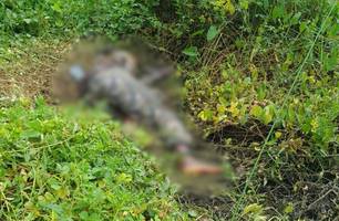 Corpo de homem em avançado estado de decomposição é encontrado em Parnaíba (Foto: Reprodução)