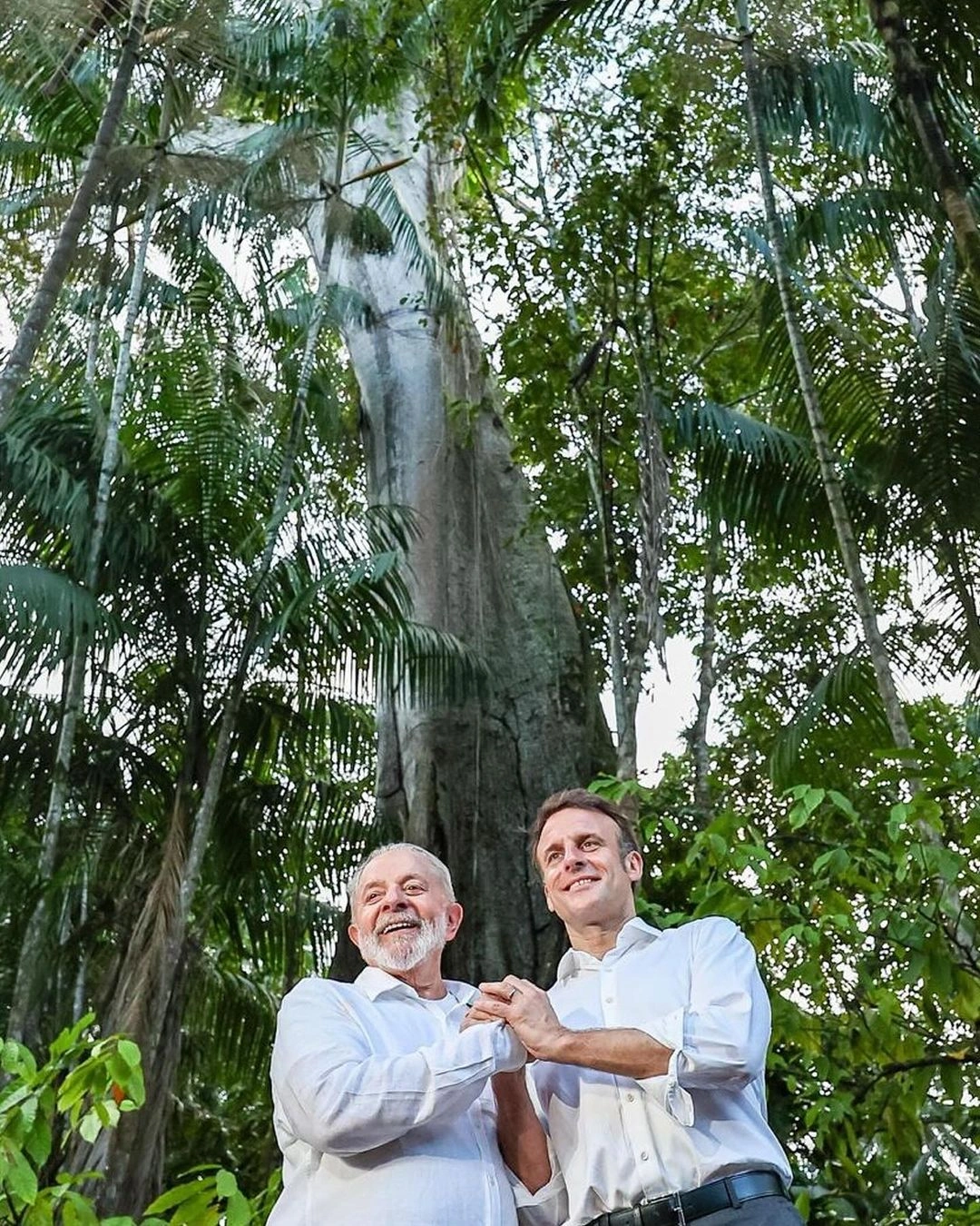 Lula e Emanuel Macron