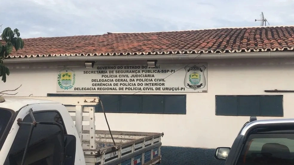 Delegacia Regional de Uruçuí, Sul do Piauí