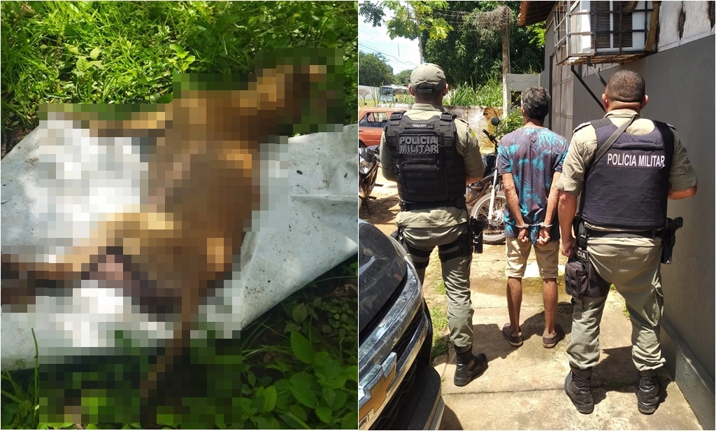 Homem é preso após estuprar e matar cachorra em cidade do Piauí