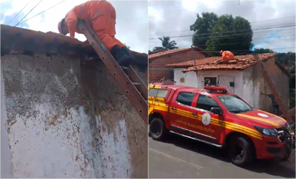 Idosa é resgatada