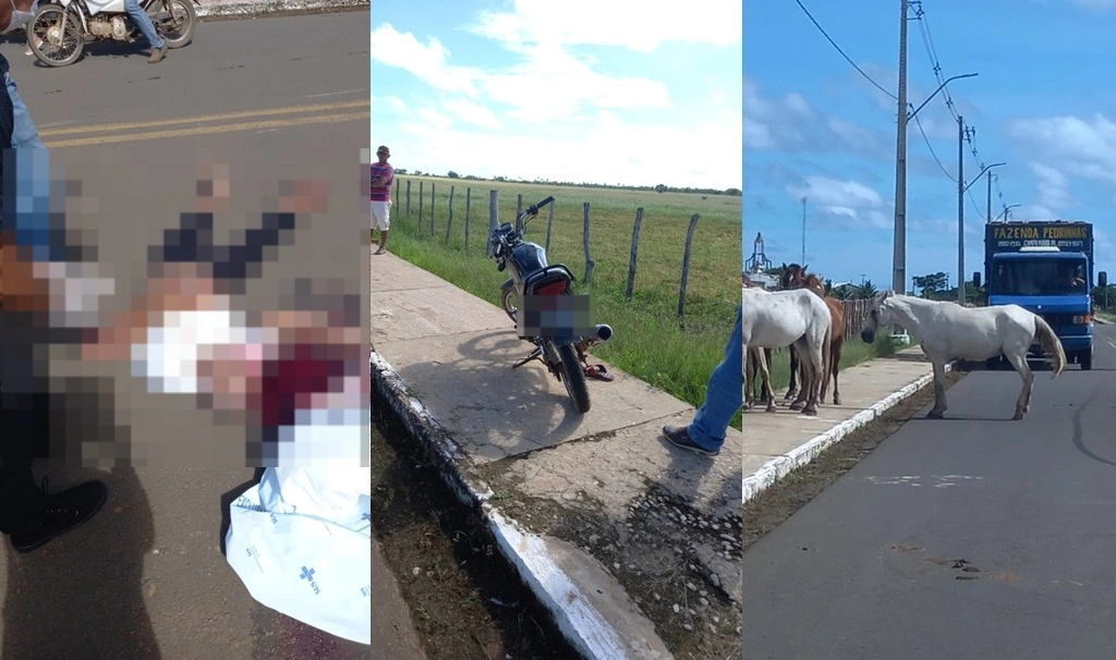 Idoso colide violentamente contra cavalo e acaba morrendo na cidade de Campo Maior