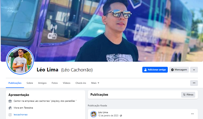 Perfil fake