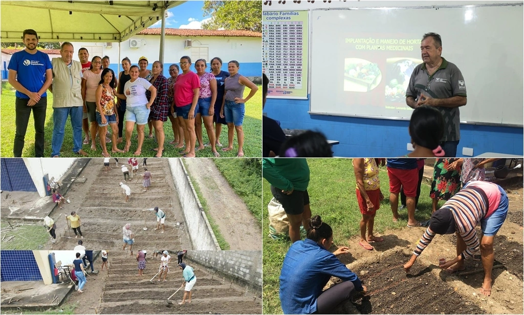 Sala do MEI de Demerval Lobão promove curso de implantação e manejo de hortas