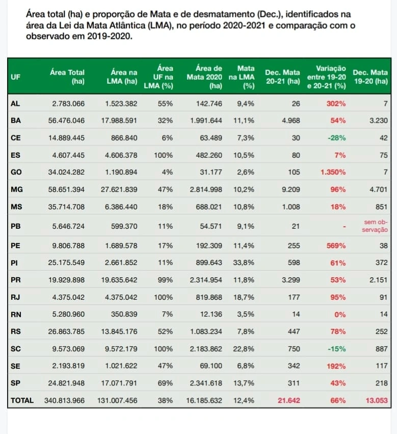 4 de cada 10 hectares de mata atlântica desmatada no Brasil em 2023 foi no Piauí