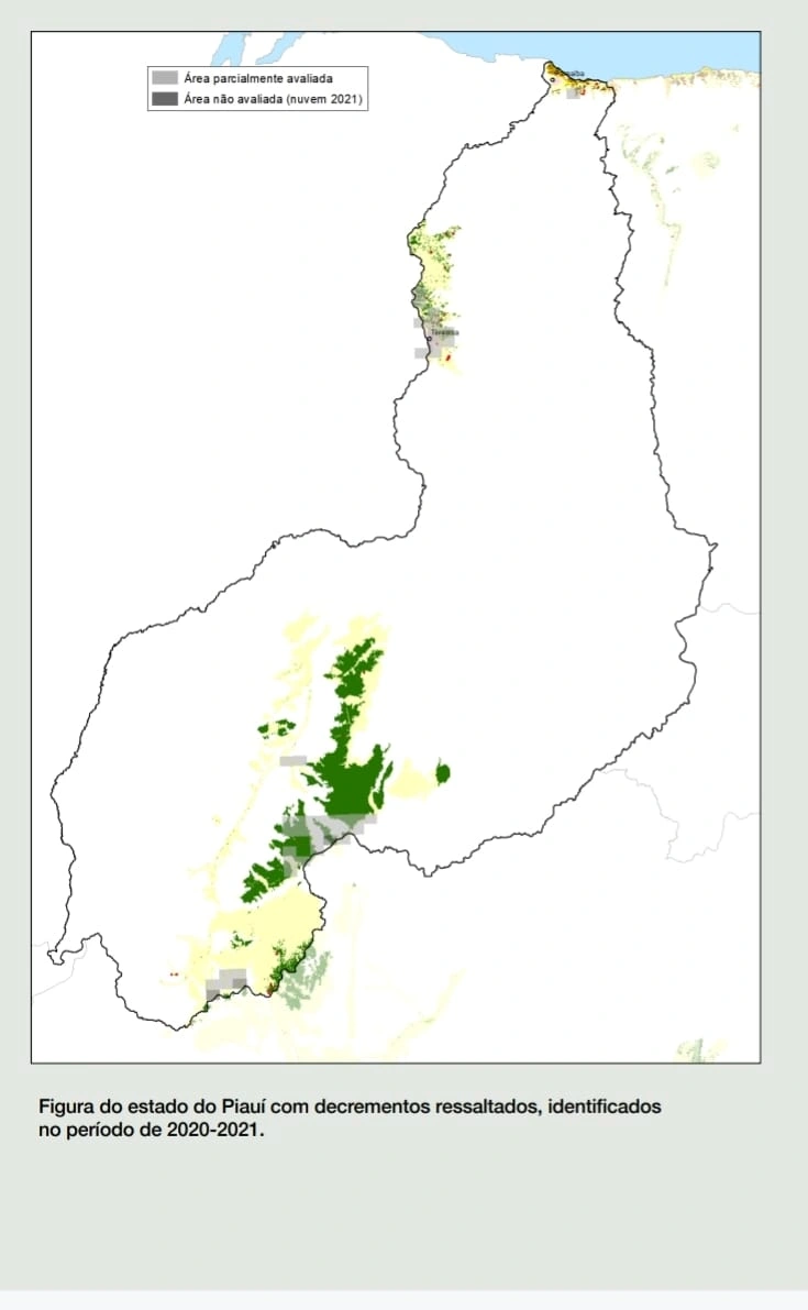 4 de cada 10 hectares de mata atlântica desmatada no Brasil em 2023 foi no Piauí