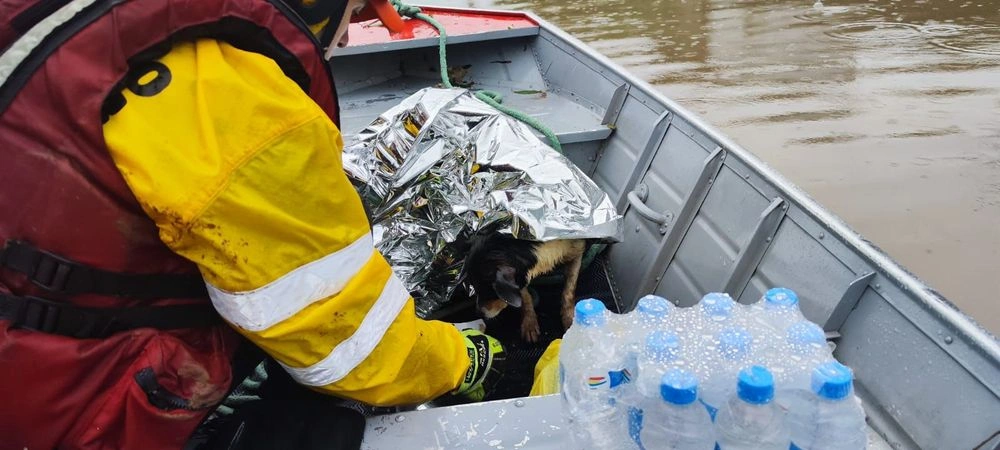 Bombeiros do Piauí auxiliam famílias e resgatam mais de 30 animais no RS