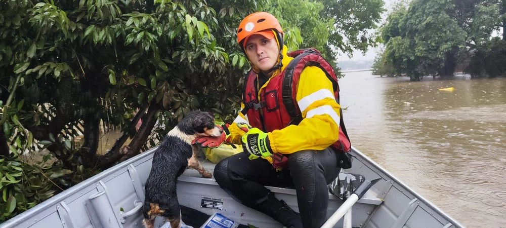 Bombeiros do Piauí auxiliam famílias e resgatam mais de 30 animais no RS