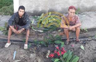 Dupla é presa após fingir capinar terreno para roubar residência em Teresina (Foto: Reprodução)
