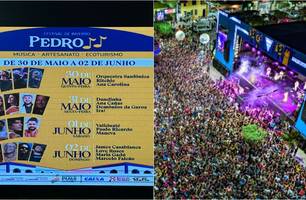 Festival de inverno de Pedro II (Foto: Conecta Piauí)