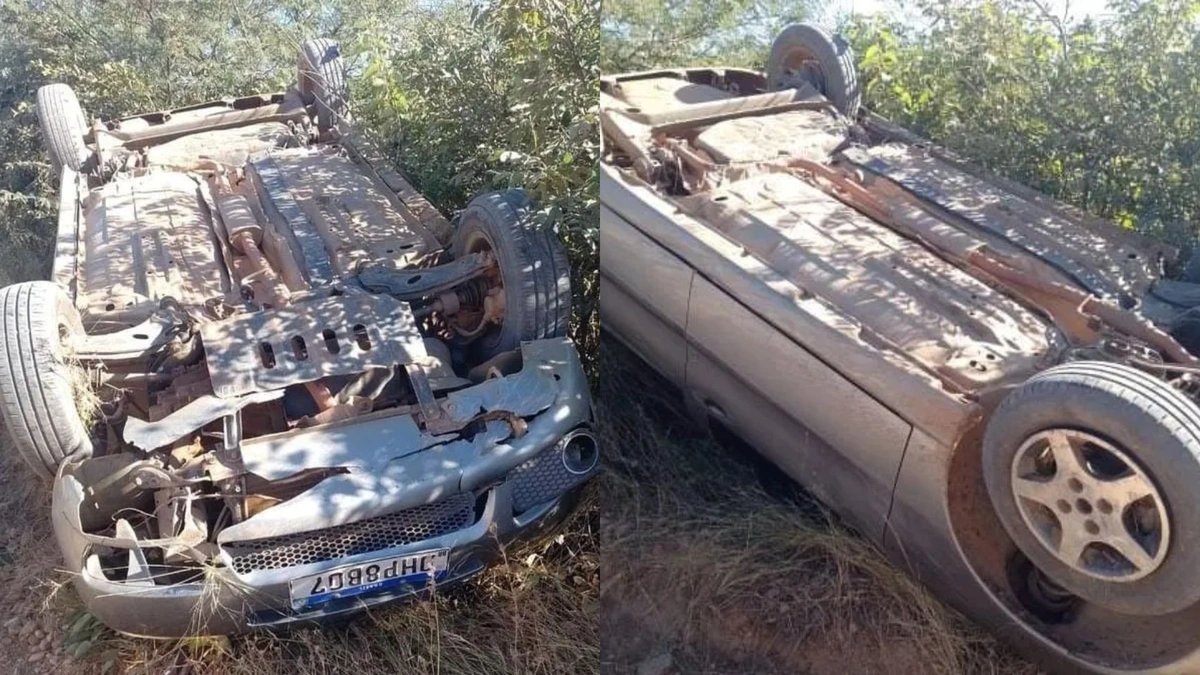 Mãe e filho de 4 meses sofrem acidente por conta de animais na pista no Piauí