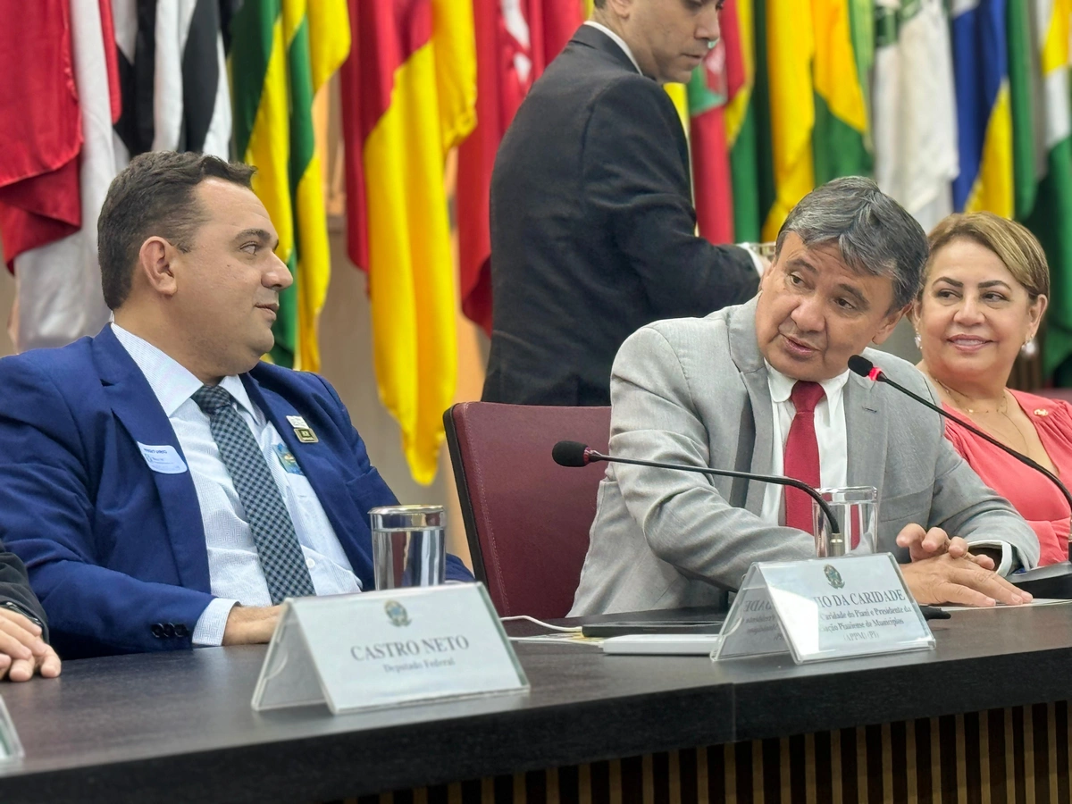 Ministro Wellington Dias se reúne com prefeitos piauienses em Brasília