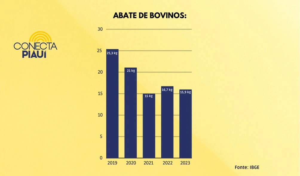 Piauiense comeu menos carne em 2023, apesar da maior queda nos preços do século