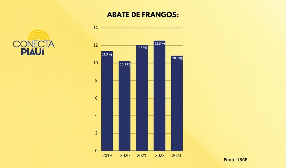 Piauiense comeu menos carne em 2023, apesar da maior queda nos preços do século