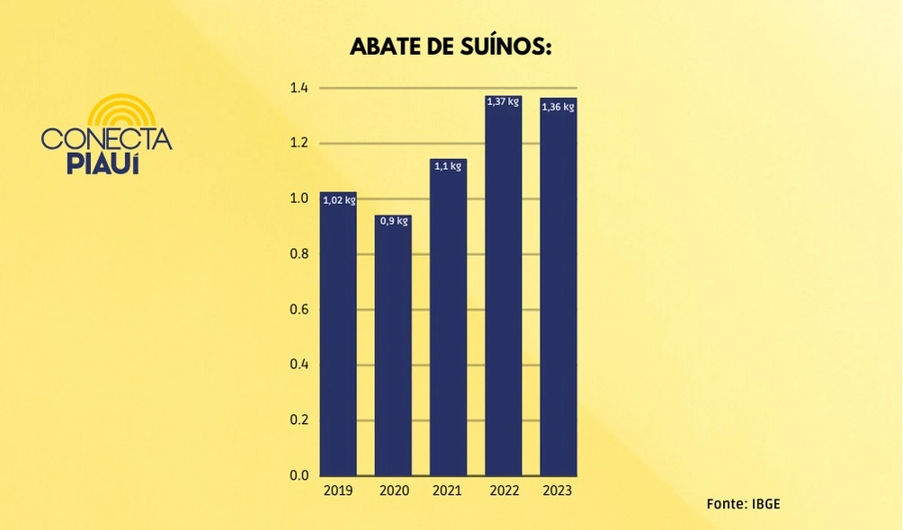 Piauiense comeu menos carne em 2023, apesar da maior queda nos preços do século