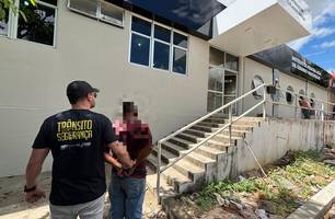 Polícia prende homem que estuprou sobrinha de 8 anos em Teresina (Foto: Divulgação)