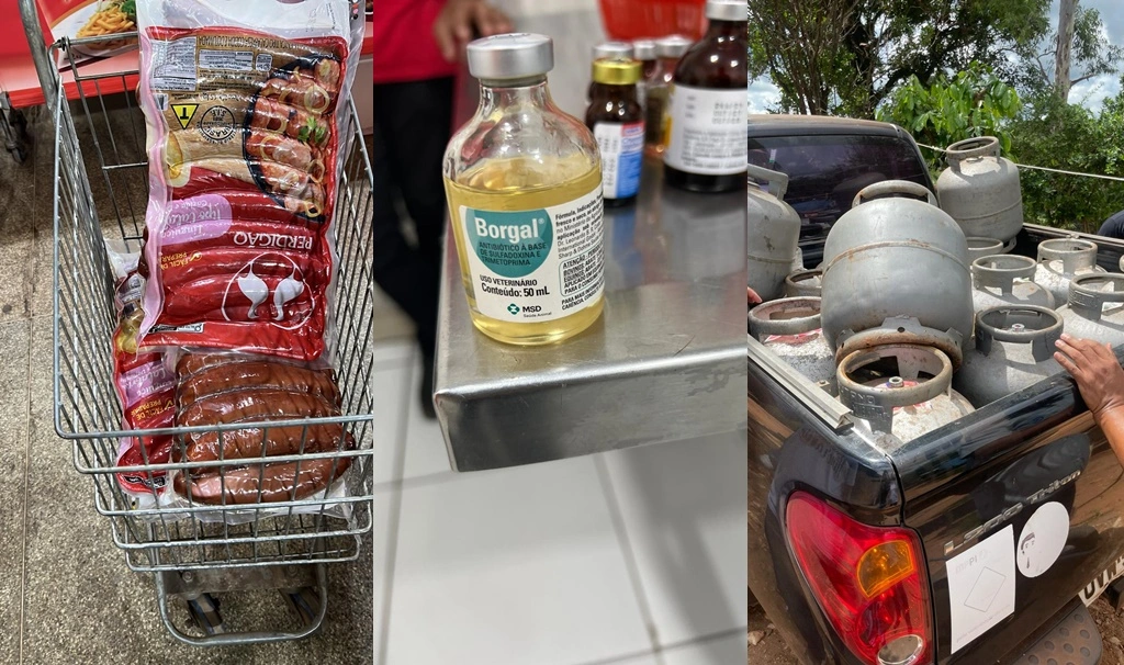 Procon deflagra operação em estabelecimentos e apreende mercadorias vencidas no Piauí