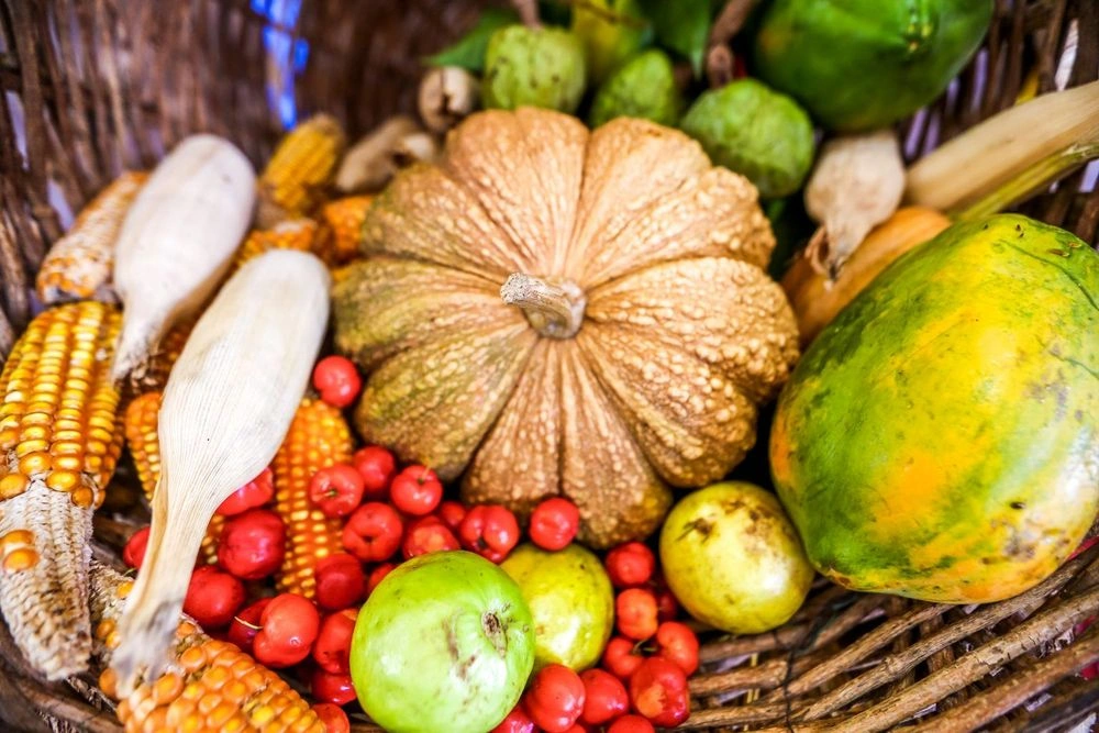 Programa de Aquisição de Alimentos beneficia mais de 32 mil famílias do Piauí