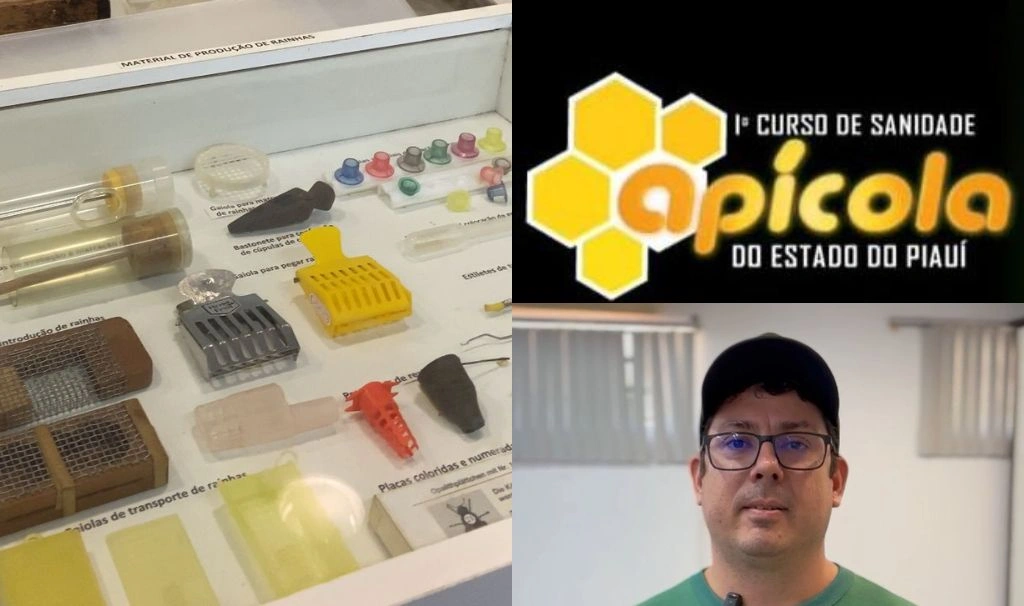 Adapi promove 1º curso para prevenção e controle de doenças em abelhas do Piauí