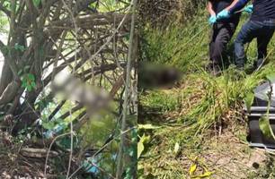 Corpo em decomposição é encontrado em Parnaíba com marcas de tiros na cabeça (Foto: Divulgação)