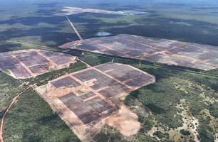 Governador inaugura de complexo solar em Brasileira e destaca geração de emprego (Foto: Conecta Piauí)