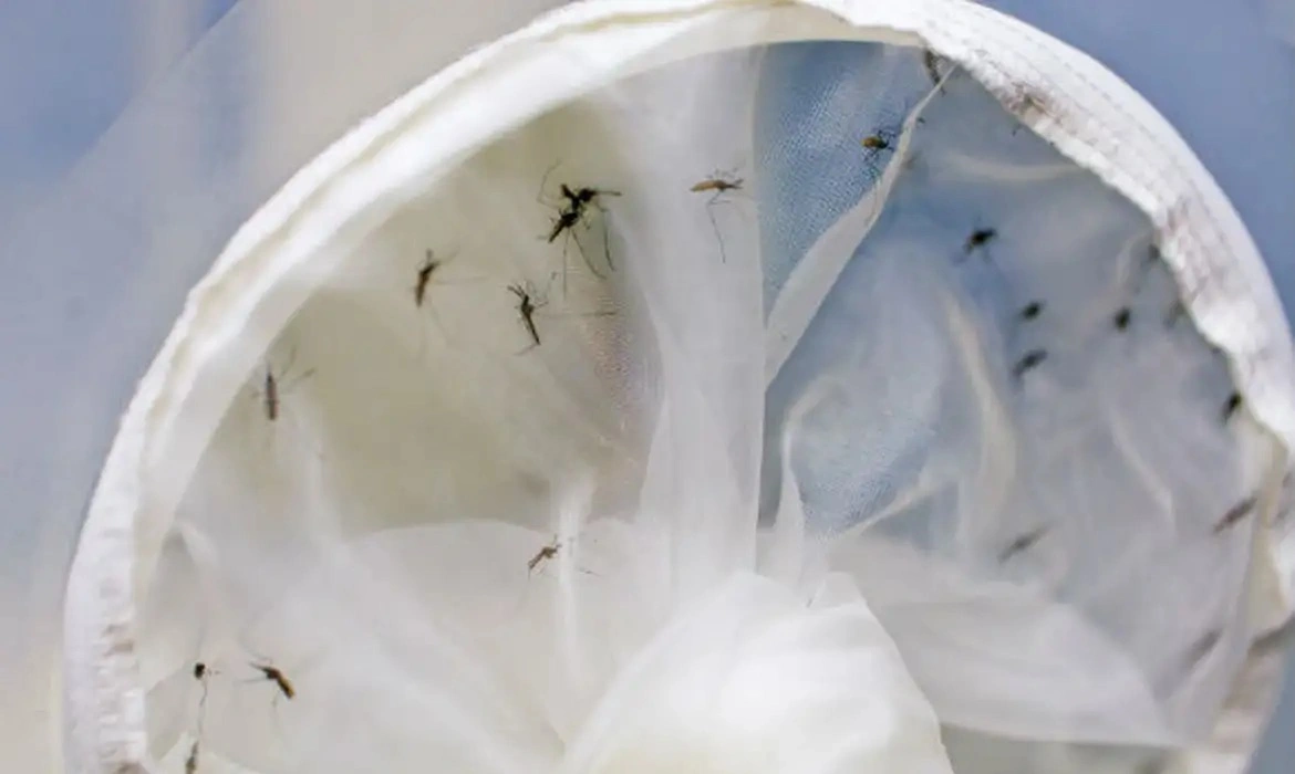 Piauí registra 18 mortes por dengue e 2024 se torna ano mais mortal da história