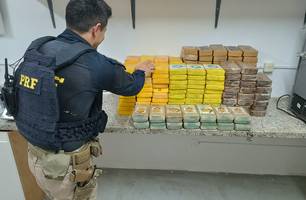 PRF apreende mais de 185 tabletes de cocaína dentro de caminhão frigorífico em THE (Foto: Reprodução)
